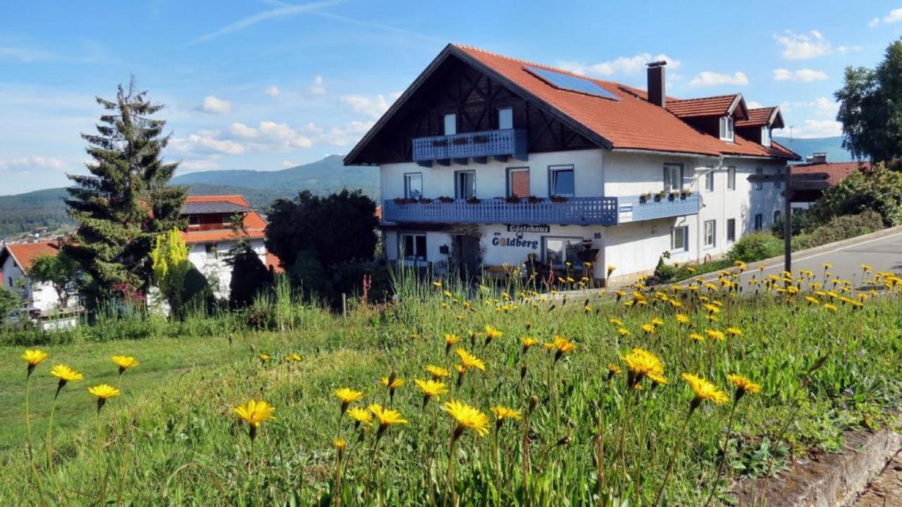 Hotel Gästehaus am Goldberg Sankt Oswald-Riedlhuette Exterior foto